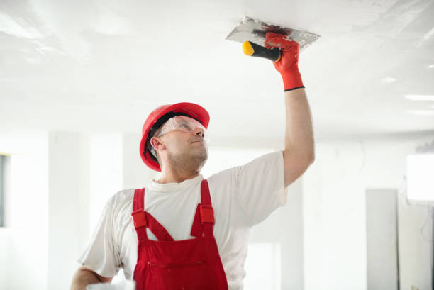 Best Real Estate Mold Inspection  in New York Mills, NY
