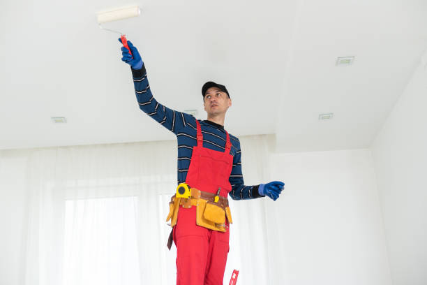 Best Basement Mold Removal  in New York Mills, NY