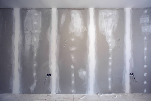 Best Asbestos and Lead Testing During Mold Inspection  in New York Mills, NY